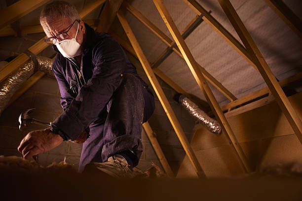 Best Insulation Maintenance and Repair in Valparaiso, IN